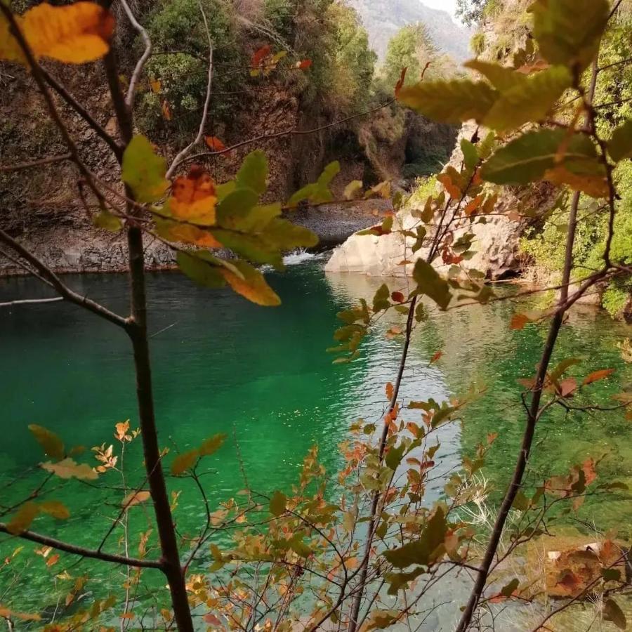몰리나 Refugio Del Salto -Radal 7 Tazas 빌라 외부 사진
