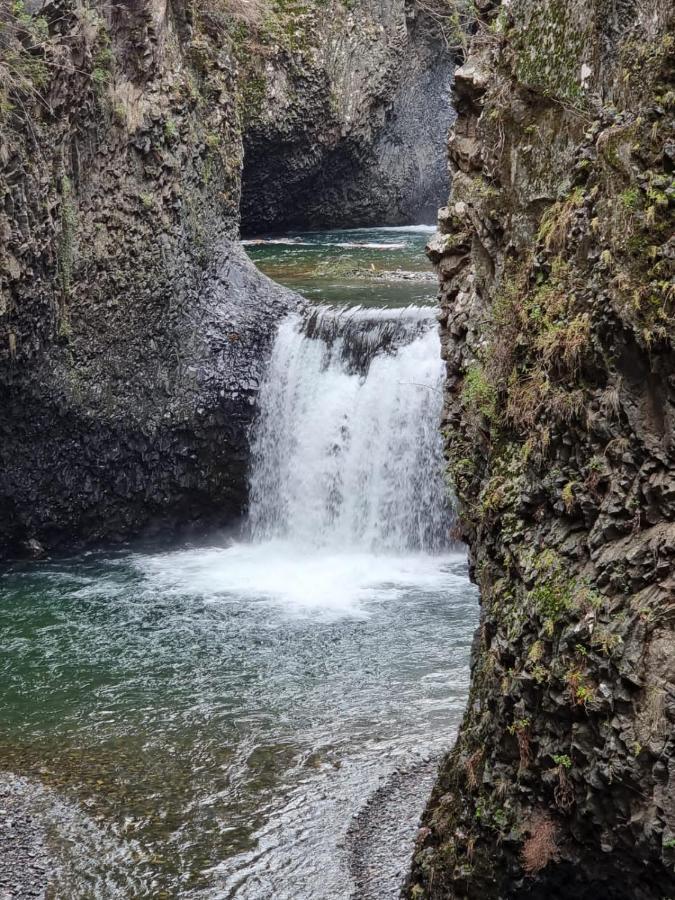 몰리나 Refugio Del Salto -Radal 7 Tazas 빌라 외부 사진